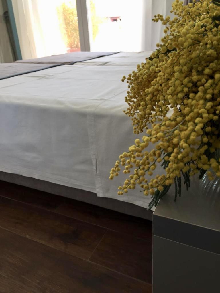 Amberyellowbnb Shkodër 外观 照片